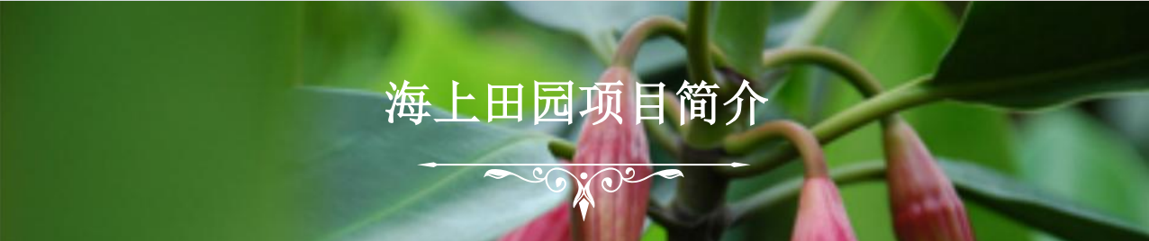 00cfe343e88b666095873c14d5d120f1