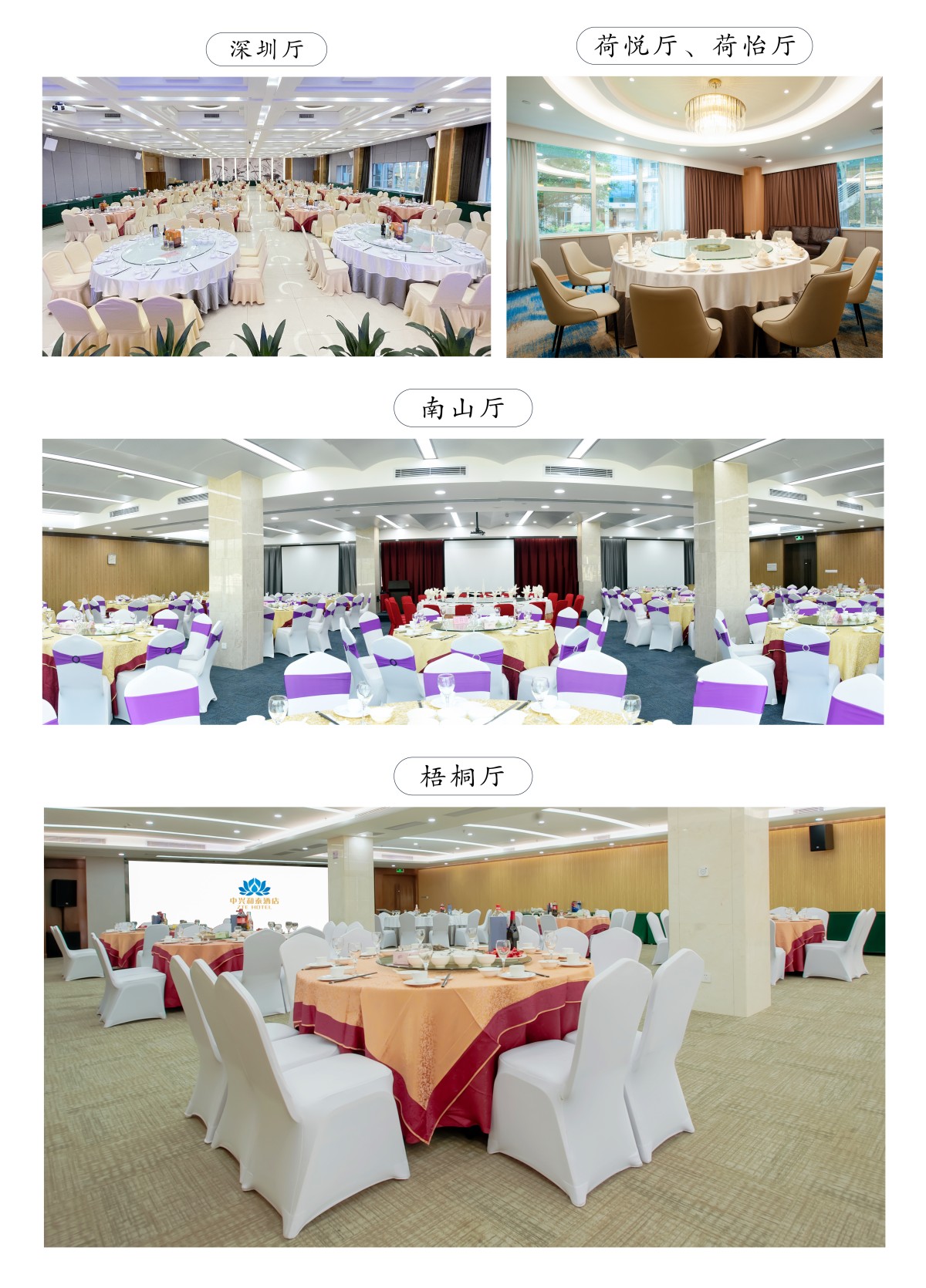 微信图片_20250218104730