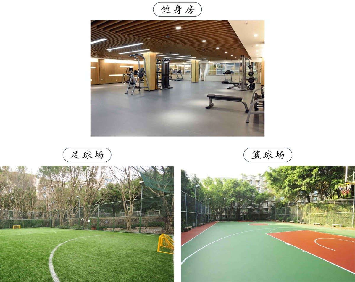 微信图片_20250218104810