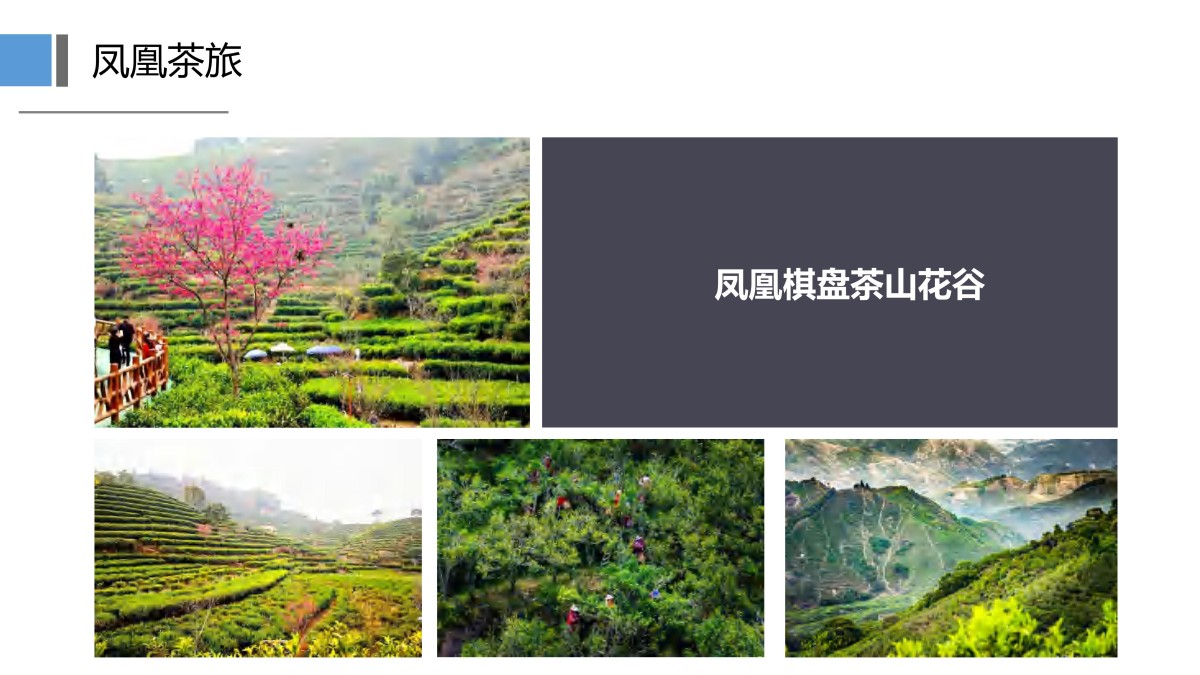 疗养5天潮韵疗愈潮汕私享行5天4晚山海疗身+文化疗心+美食疗胃_31